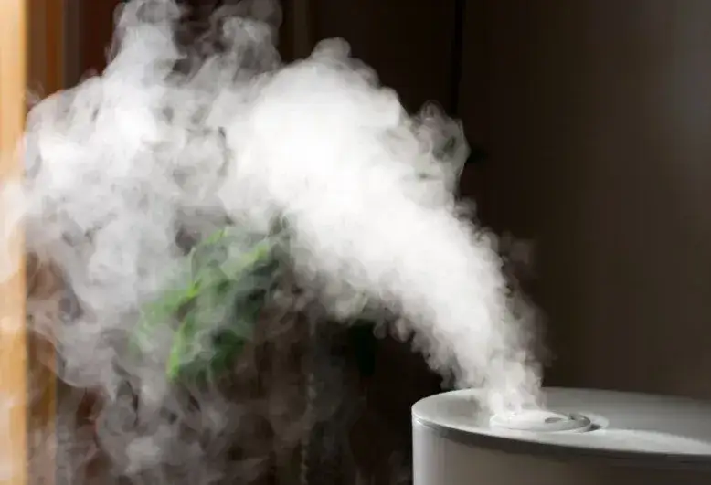 Nawilżacz powietrza z jonizacją czy bez: Kluczowe różnice i porównanie