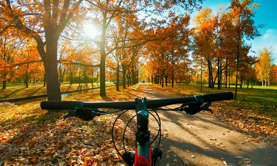 Dlaczego jesienią nie warto rezygnować z rowerowych wycieczek?