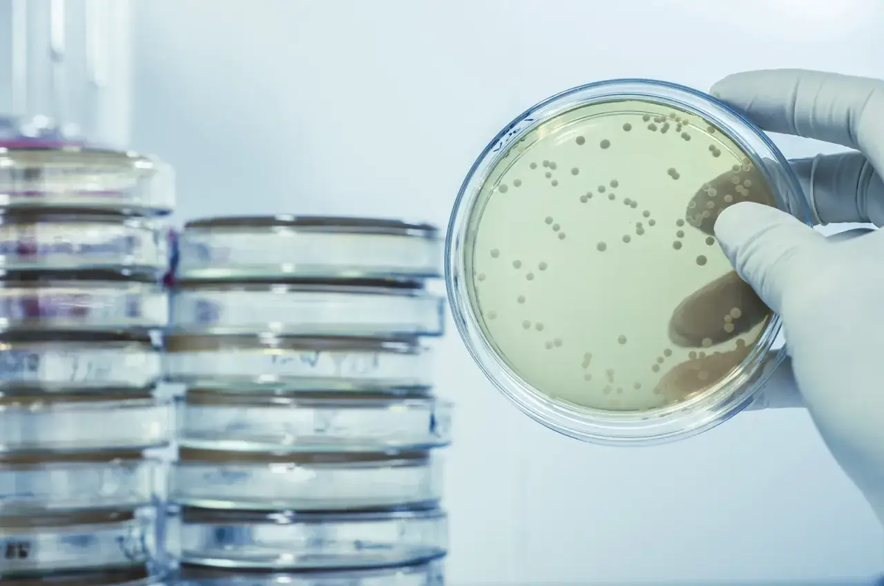 Częste infekcje u dziecka: jakie badania pomogą ustalić przyczynę?