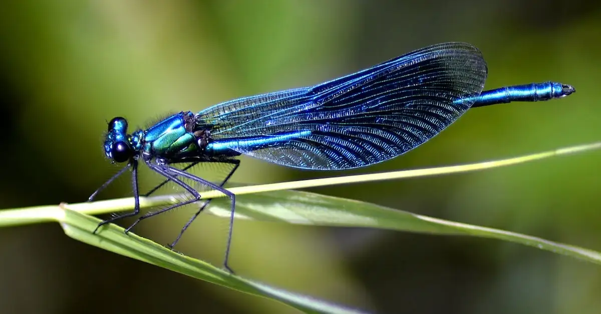 Recenzja filmu Diuna - Pokusy losu - Filmweb