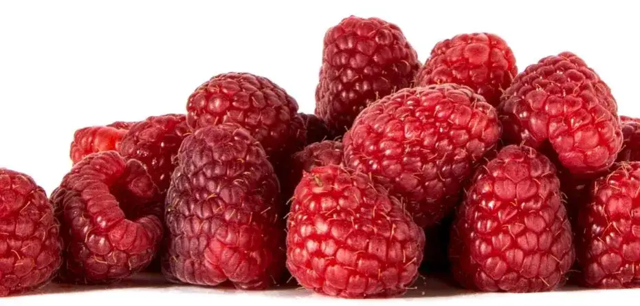 Ile kosztuje malina na skupie – poznaj aktualne ceny i zmiany rynku