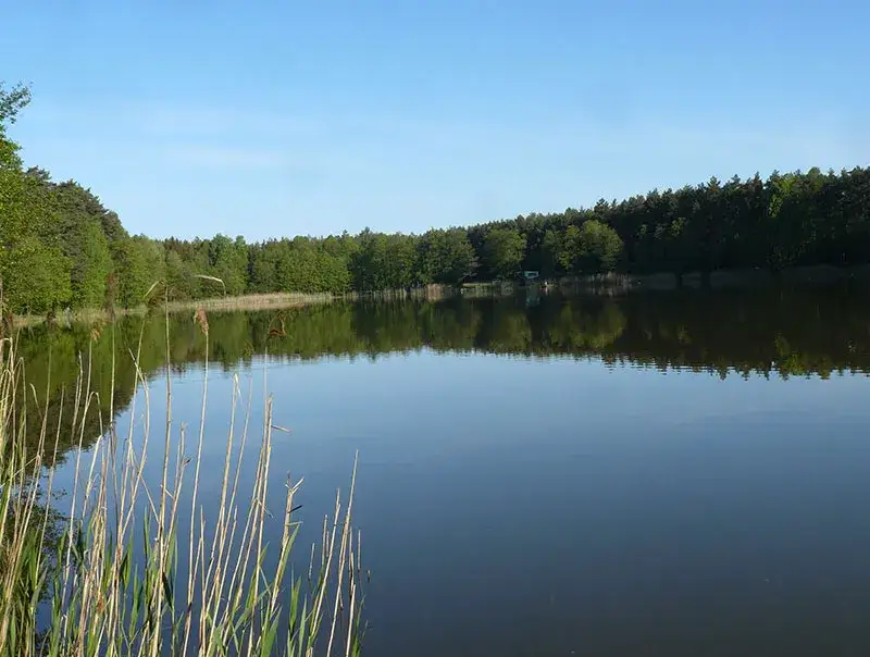 Jezioro Tuczno Wielkopolskie – raj dla wędkarzy i miłośników kajaków