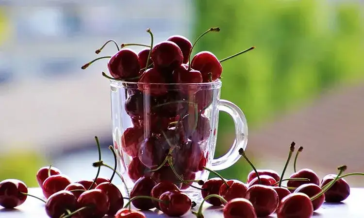 Jak zrobić sok z czereśni – prosty przepis, który zachwyci smakiem