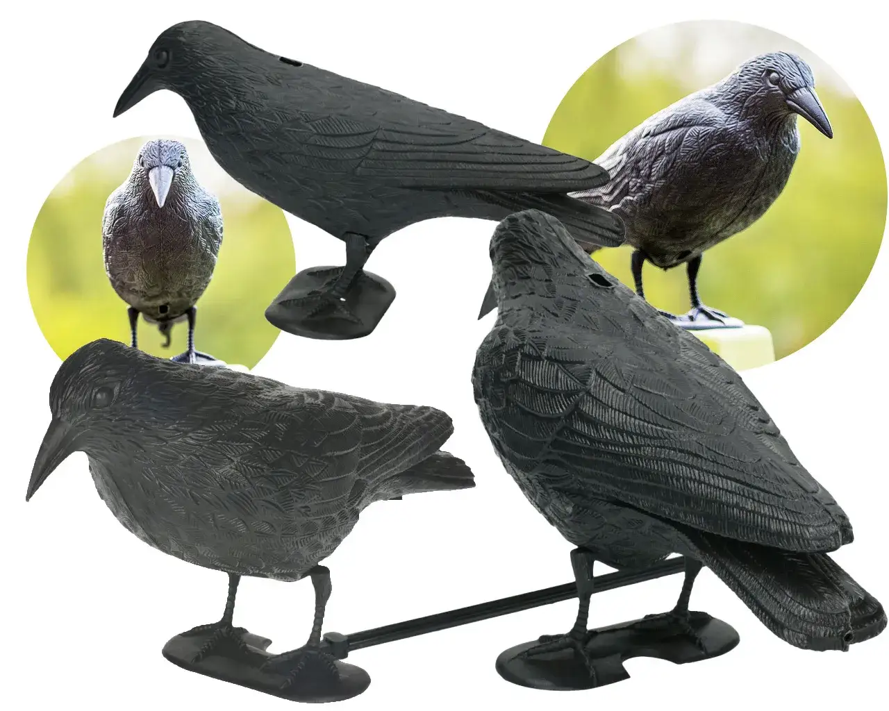 Jak zamontować kruka na balkonie - proste błędy, których unikniesz