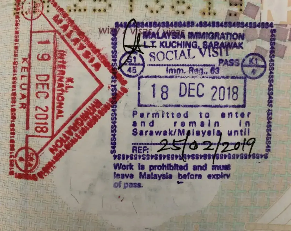 Wiza na Borneo: wszystko co musisz wiedzieć przed wylotem na wyspę