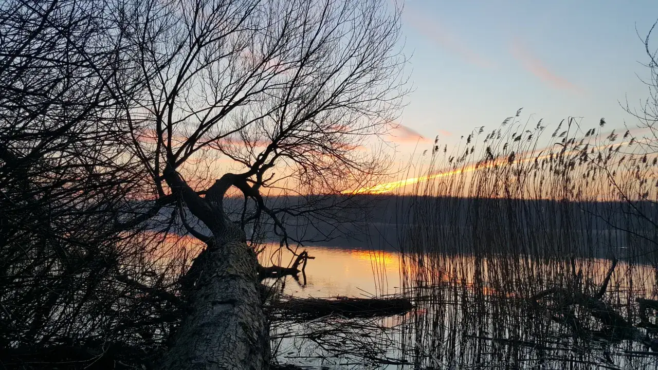 Jezioro Swarzędzkie: kompletny przegląd atrakcji i miejsc rekreacyjnych