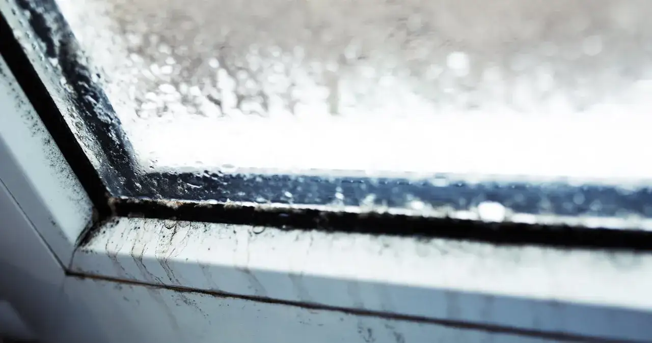 Co zrobić gdy okna parują? Sprawdzone sposoby na problem z wilgocią