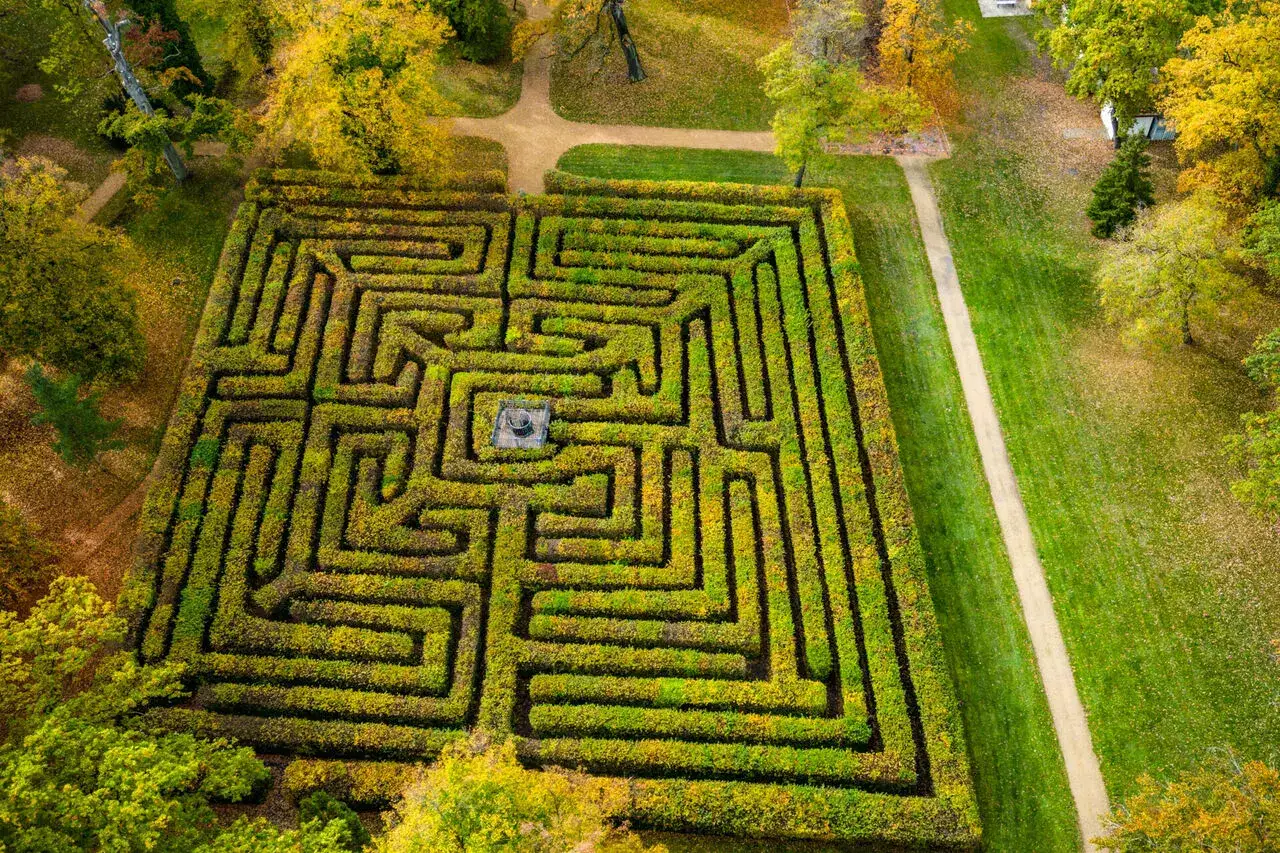 Irrgarten: fascynujący labirynt ogrodowy dla miłośników natury