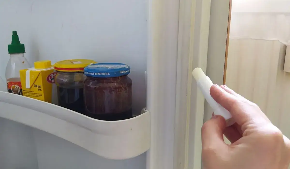 Czym posmarować uszczelkę w lodówce, aby uniknąć jej uszkodzenia?