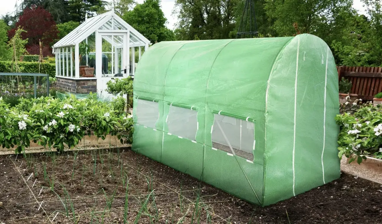 Jaki kolor tunelu foliowego wybrać – biały czy zielony?