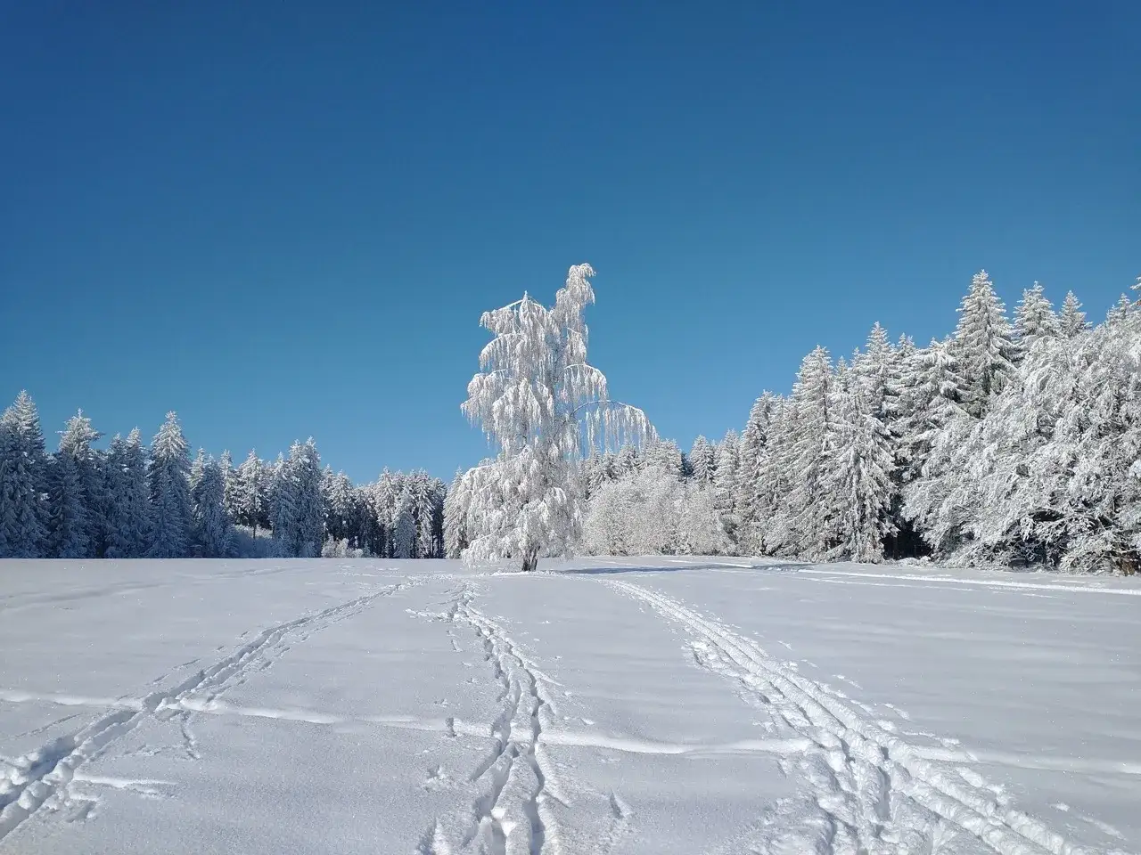 Kochaj i rób co chcesz: Prawdziwy sens słów św. Augustyna