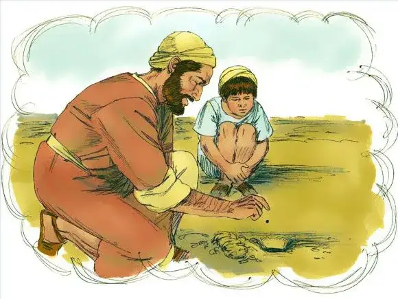 Najkrótsza przypowieść biblijna o ziarnku gorczycy i jej głębokie znaczenie