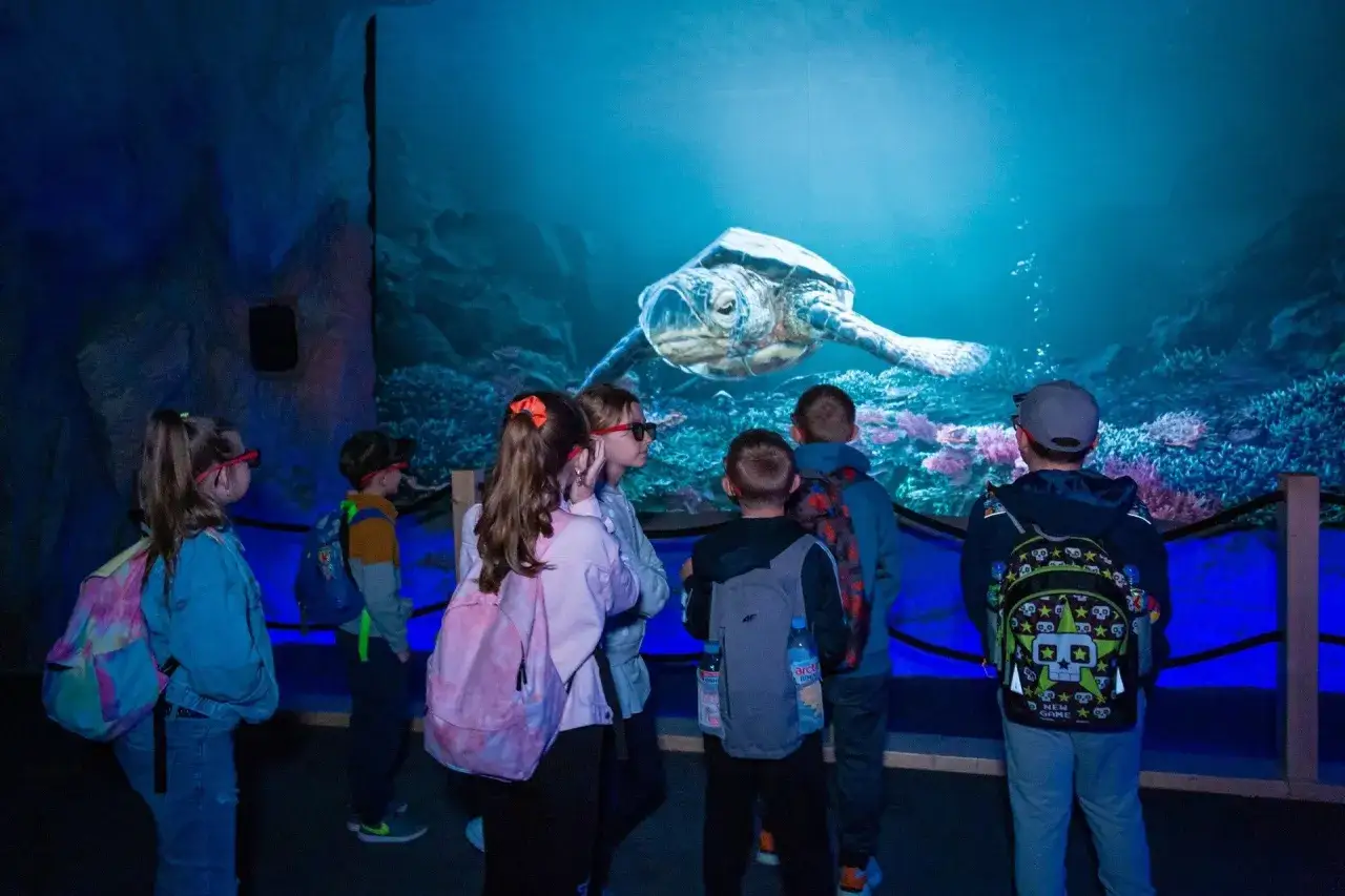 Oceanarium Blue City? Poznaj World of Reptiles największą wystawę!