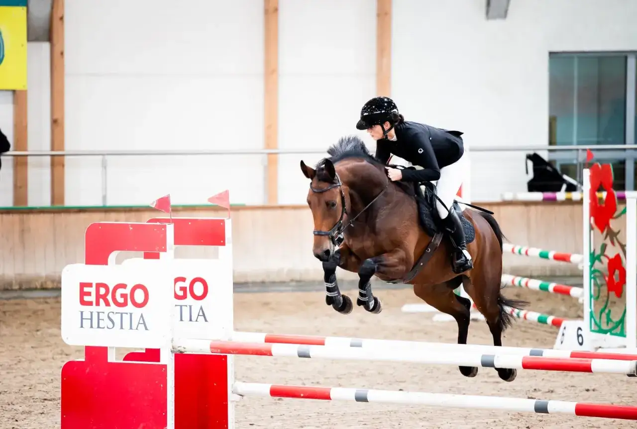 Stadnina Hestia Radom: Dlaczego to Czołowy Ośrodek Jeździecki?