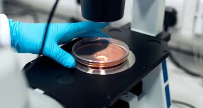 Co to jest laboratorium akredytowane i dlaczego ma to znaczenie?