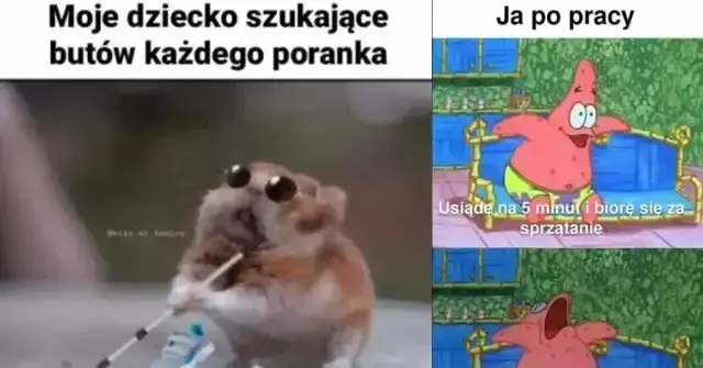 Głupie memy, które rozbawią Cię do łez i poprawią humor