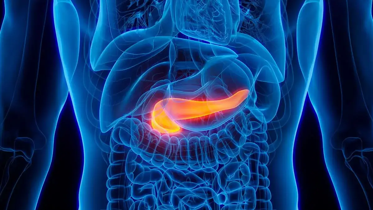 Bauchspeicheldrüsenkrebs: Ab wann Vorsorge für Risikogruppen?