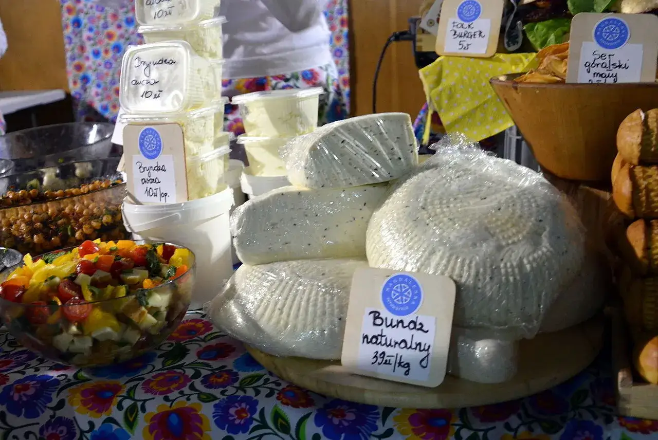 Bryndza: Jak z bundzu rodzi się góralski rarytas? Sekrety produkcji