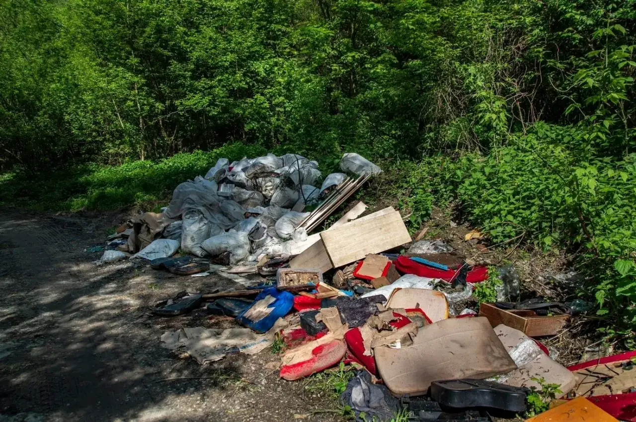 Gdzie zgłosić zaśmiecanie terenu? Skuteczne sposoby na interwencję