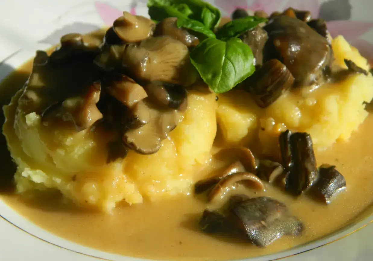 Jak zrobić sos z opieniek? Bezpieczny i pyszny przepis