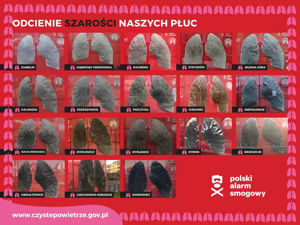 Smog czy mgła? Poznaj różnice i chroń swoje płuca!