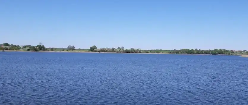 Jezioro Wielochowskie - najlepsze miejsca połowu i gatunki ryb dla wędkarzy