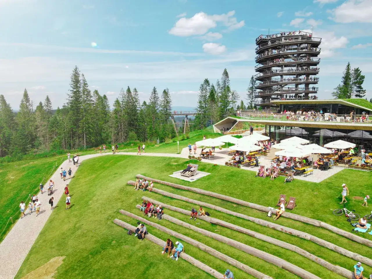 Ścieżka w koronach drzew i wieża widokowa to atrakcje, które warto zobaczyć w Zakopanem. Ludzie spacerują i odpoczywają na zielonej trawie.