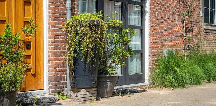 Skuteczne sposoby na ukrycie kompostownika w ogrodzie dla estetyki