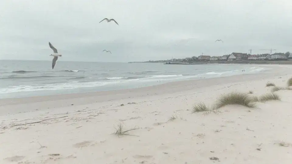 Nad jakim morzem leżą Niemcy? Odkryj ich morskie położenie