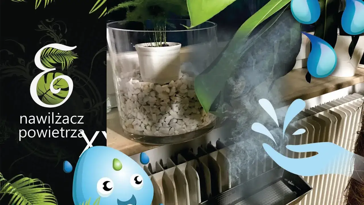 Jak zrobić nawilżacz powietrza w 15 minut i poprawić komfort w domu