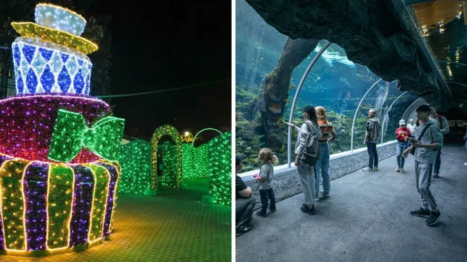 Ile kosztuje bilet do łódzkiego zoo? Ceny, zniżki i porady