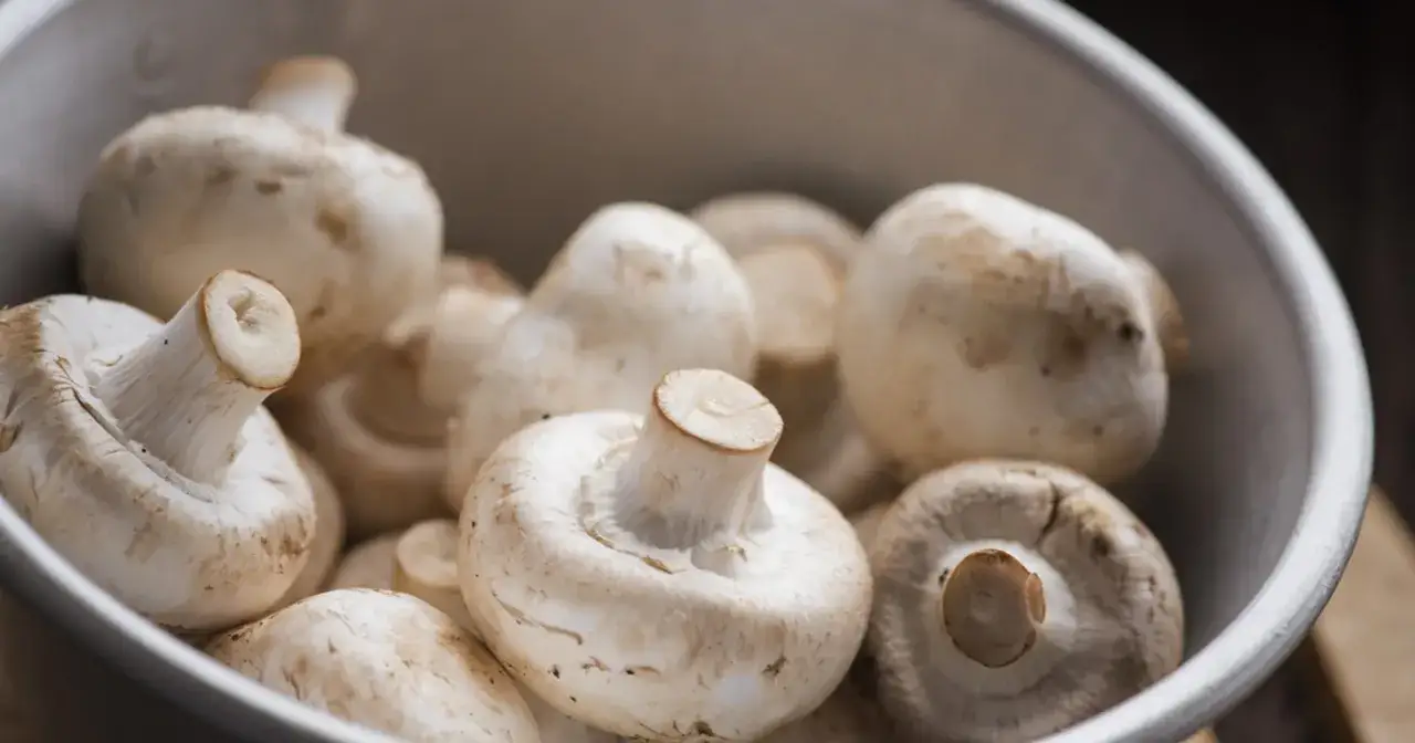 Świeże pieczarki w misce. Zastanawiasz się, czy można mrozić pieczarki? Tak, można je mrozić, by zachować ich smak na dłużej.