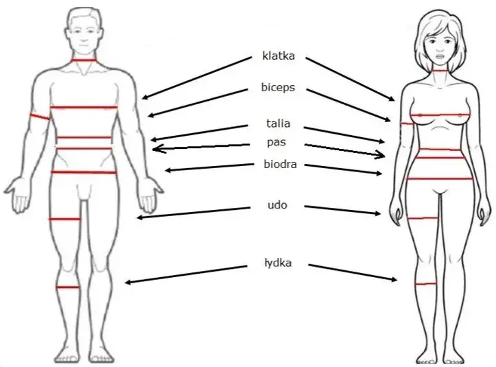 Rozmiar M: Dokładne Wymiary i Jak Mierzyć Ciało | Poradnik