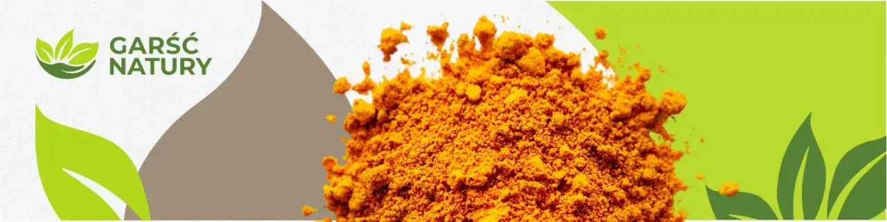 Curry: Zdrowotne właściwości i pułapki. Jak jeść mądrze?