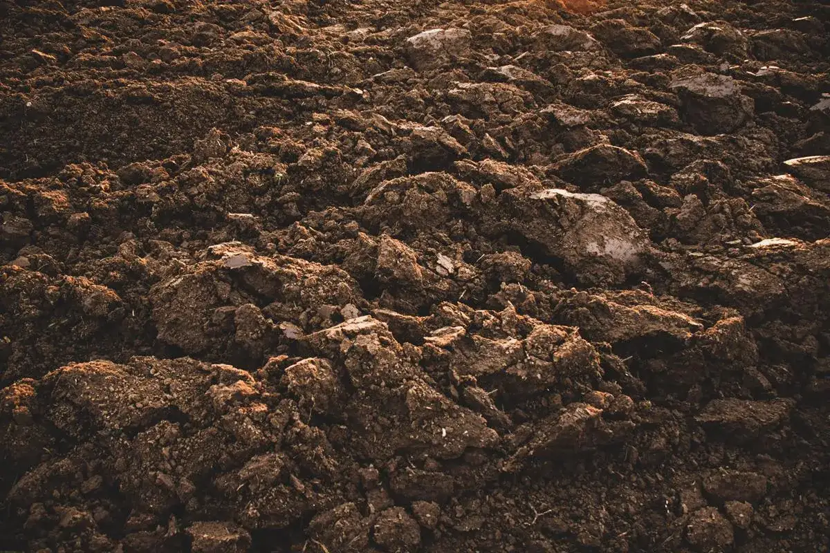 Gdzie sprawdzić klasę ziemi? Ziemia po orce, pełna grud i kamieni, czeka na analizę.