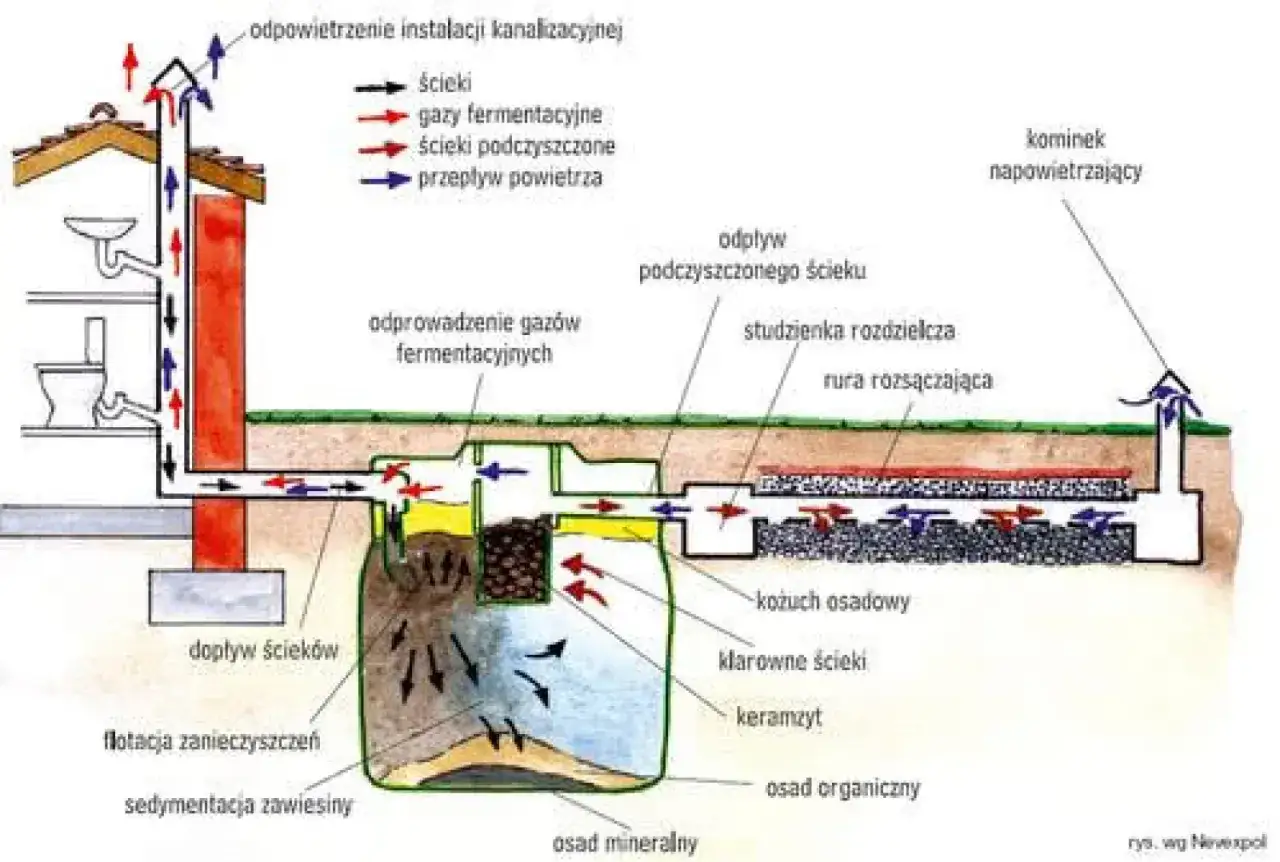 Przydomowa oczyszczalnia ścieków: Drenaż czy biologia? Co się opłaca?