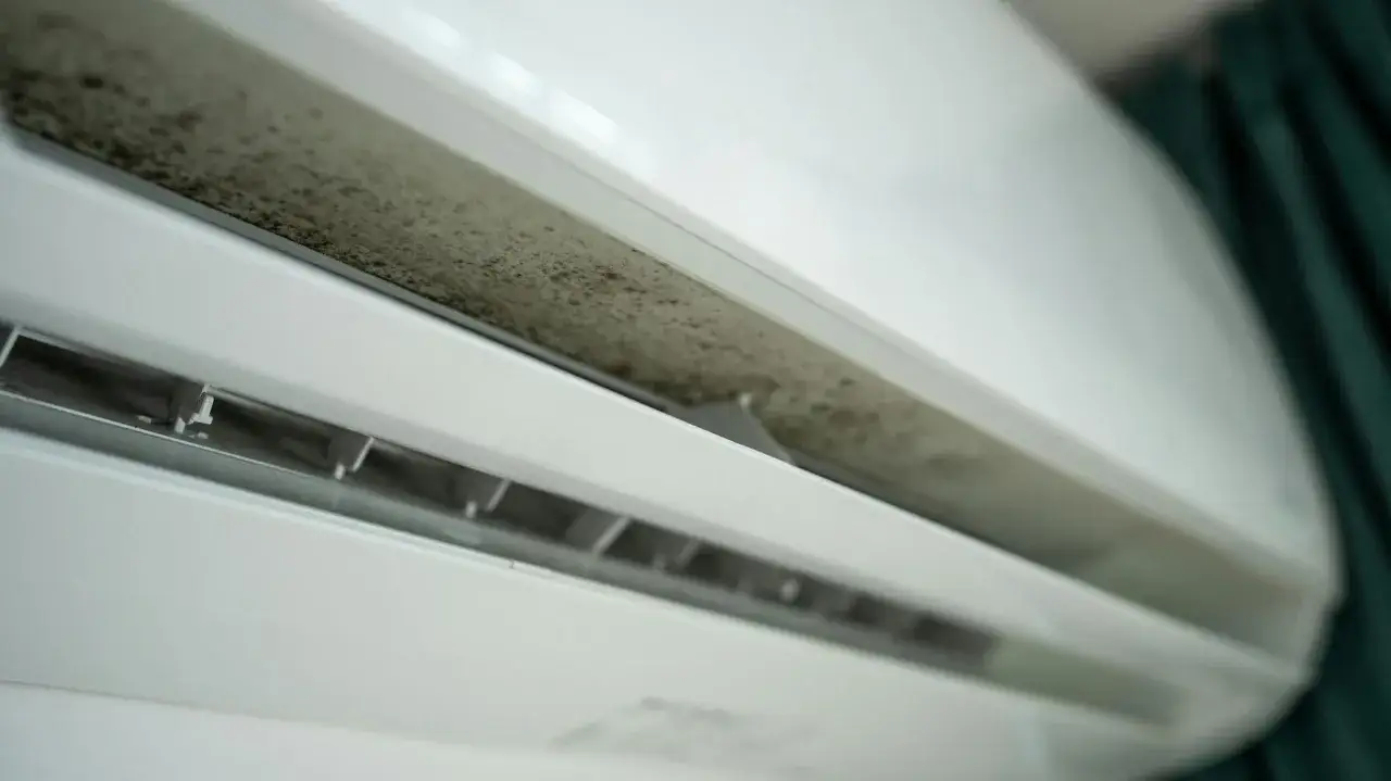 Zanieczyszczona klimatyzacja domowa. Czy dezynfekcja klimatyzacji domowej pianką z marketu jest skuteczna? Widać pleśń i brud.