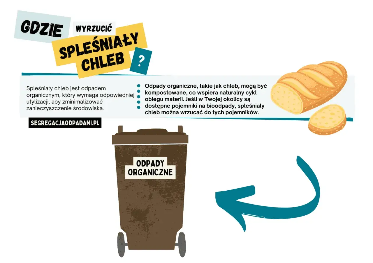 Spleśniały chleb to odpad organiczny. Gdzie wyrzucić spleśniały chleb? Do brązowego pojemnika na odpady organiczne, wspierając naturalny cykl.