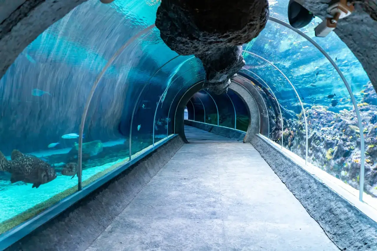 Oceanarium w Łodzi? Odkryj Orientarium ZOO: Tunel, Ceny, Dojazd