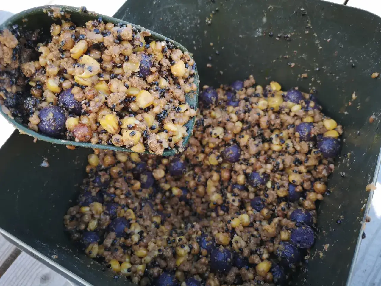 Mieszanka ziaren, kukurydzy i kulek, idealna zanęta karp amur.