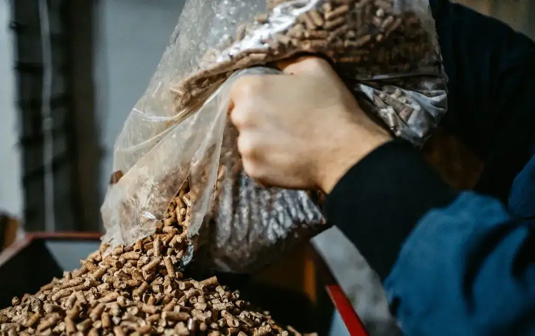 Ile kosztuje pellet w Niemczech? Ceny, porównania i zakupy w 2023