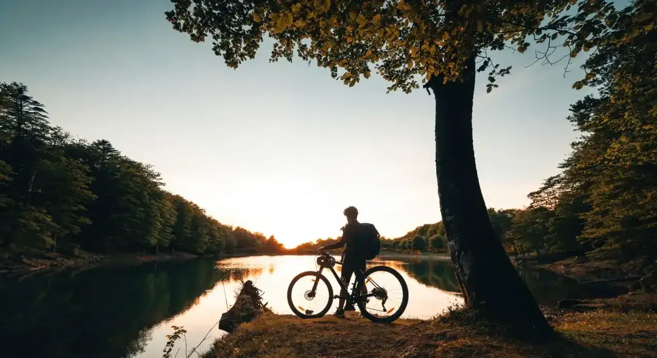 Najlepsze trasy rowerowe w Wielkopolskim Parku Narodowym, które musisz poznać