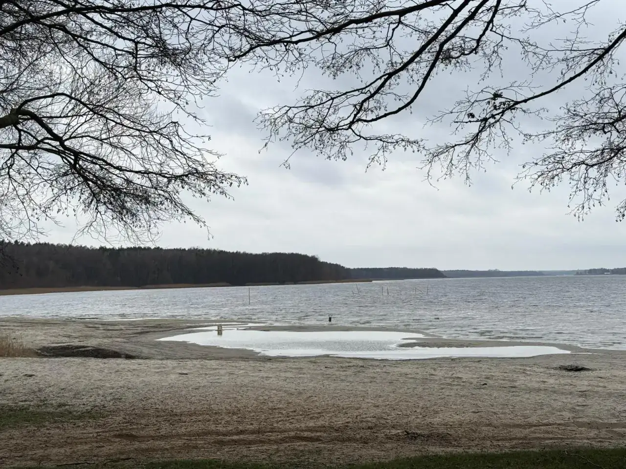 Plaża nad jeziorem, z widokiem na las. W oddali widać słupy, być może pozostałości po dawnej infrastrukturze pola namiotowego Anastazewo.