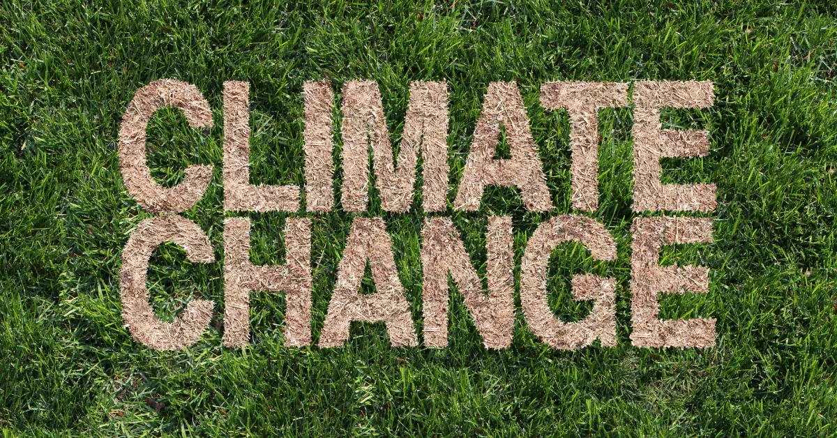 Co ma największy zły wpływ na klimat i jak temu zapobiec