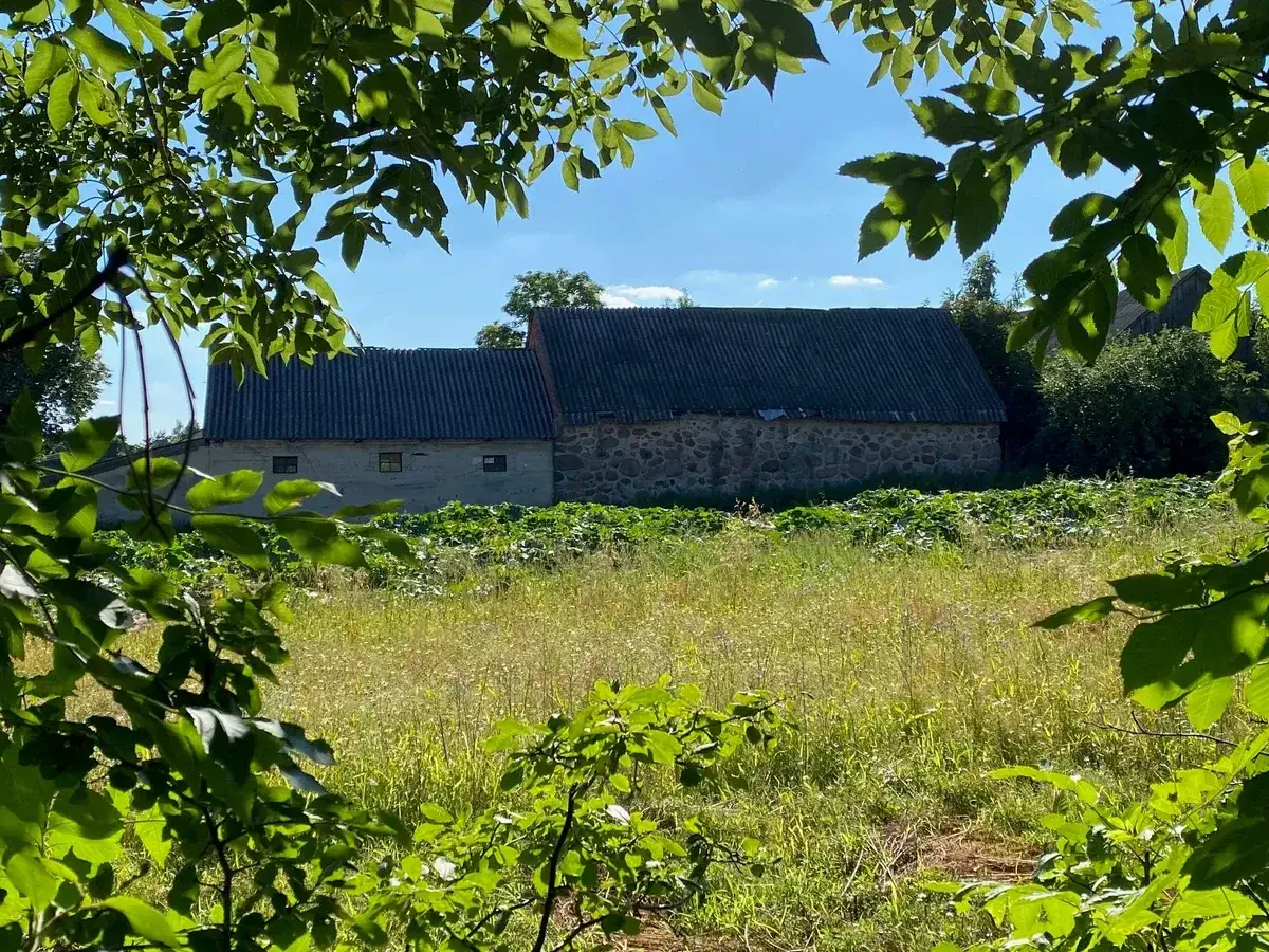 Wymiana dachu dofinansowanie - jak uzyskać wsparcie na usunięcie azbestu