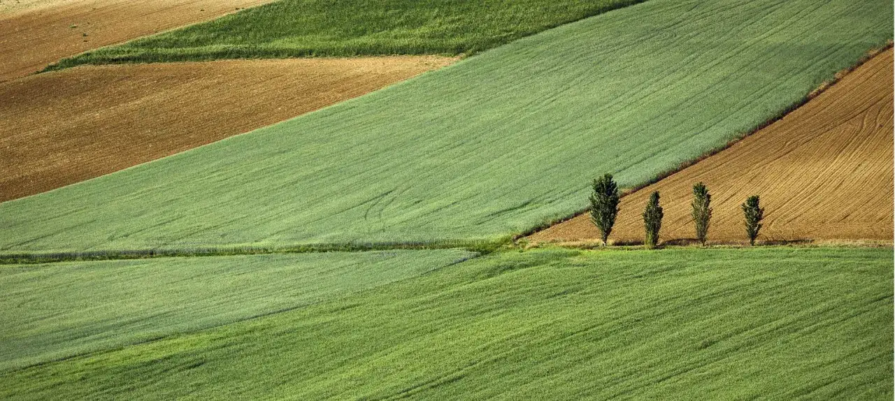Czy nieruchomość jest rzeczą? Zrozumienie prawnej definicji i konsekwencji