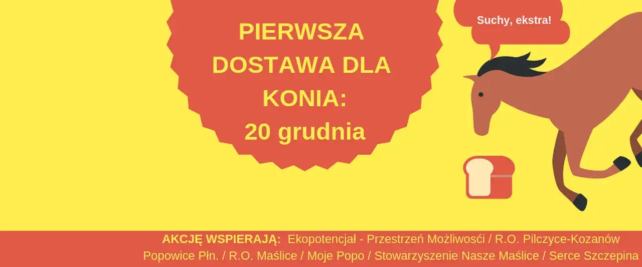 Suchy chleb dla konia: Przysmak czy ukryte niebezpieczeństwo?