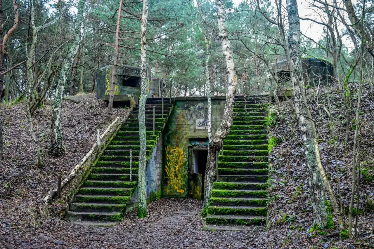 Rezerwat Helskie Wydmy: Przewodnik, atrakcje i zasady zwiedzania