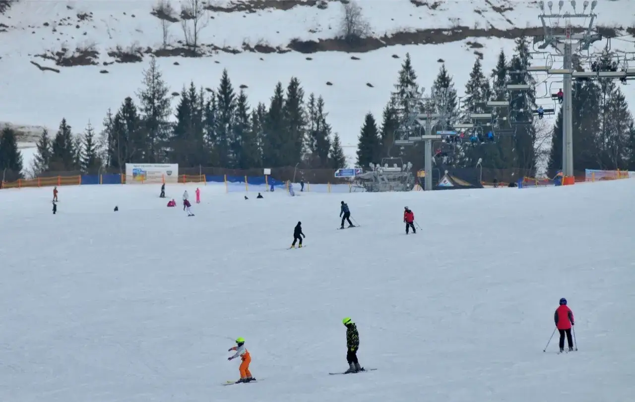 Narciarze i snowboardziści szusują po ośnieżonym stoku w Bukowinie Tatrzańskiej. W tle widać wyciąg krzesełkowy i las.
