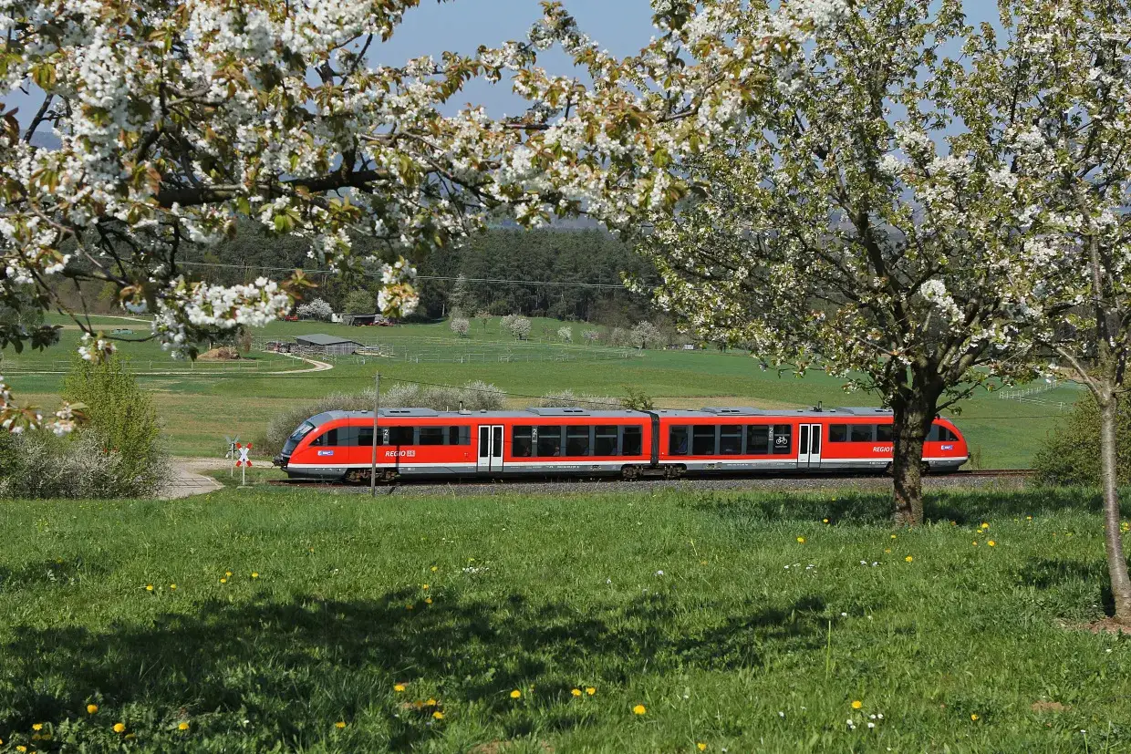Czerwony pociąg REGIO mija kwitnące drzewa. Może to pociąg do Budapesztu?
